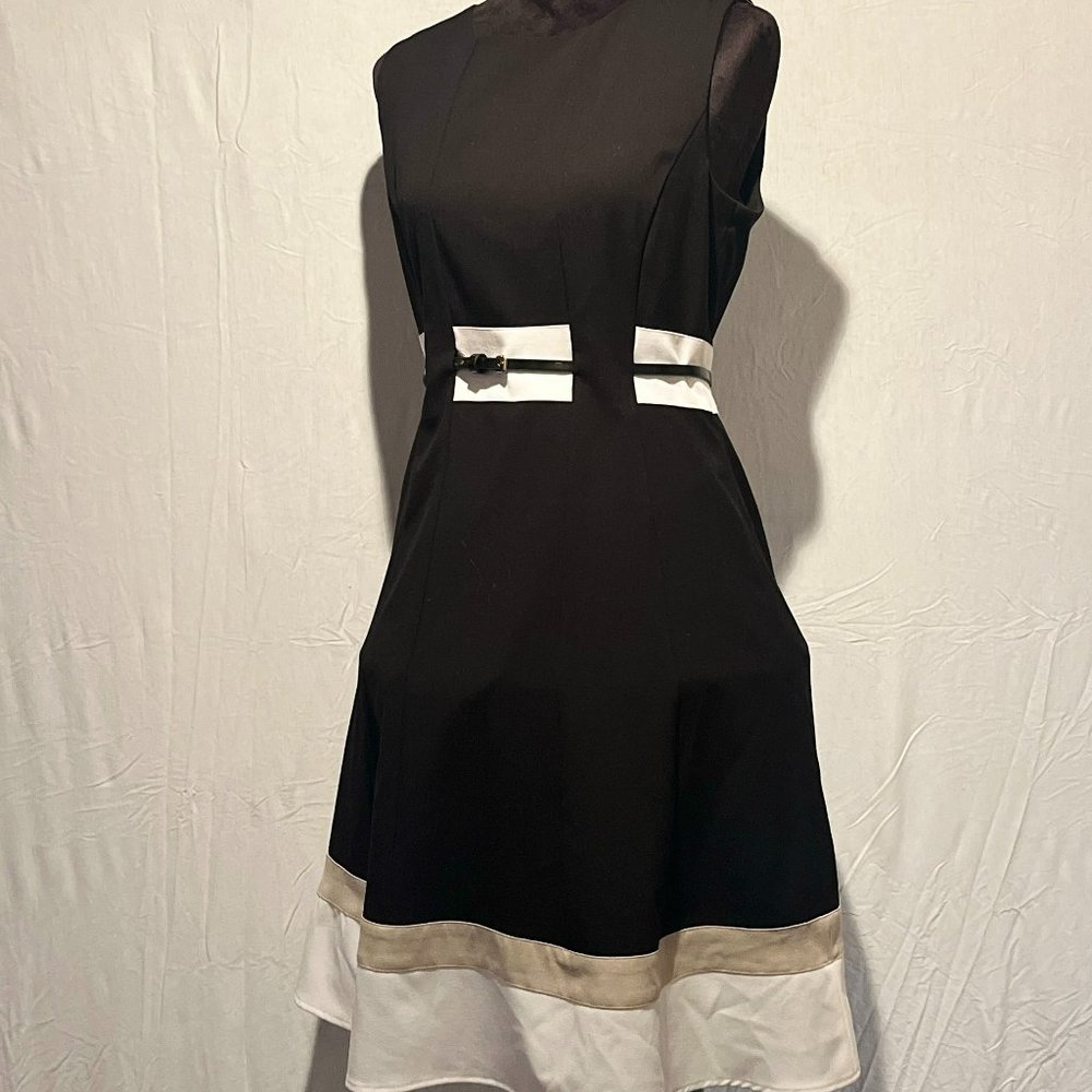 Calvin Klein Black Sleeveless Size 10 Dress
